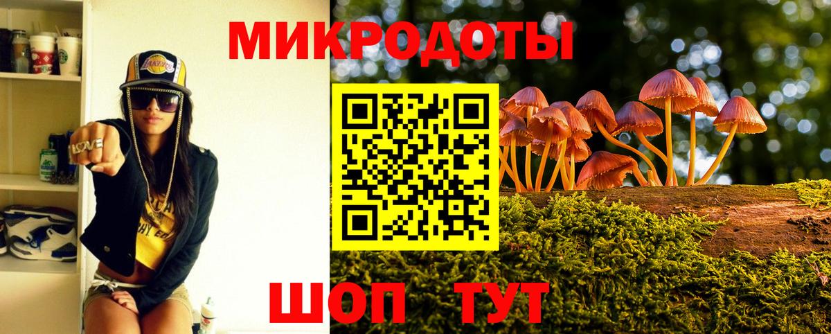 Набережные Челны  цены   Вход с VPN  Псилоцибиновые грибы Psilocybe 